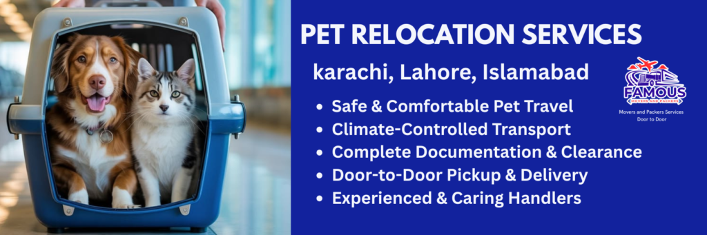 pet movement services